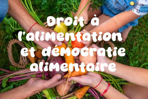 Conférence : « Droit à l’alimentation et démocratie alimentaire : comment garantir un accès digne, choisi et de qualité pour tous ? »